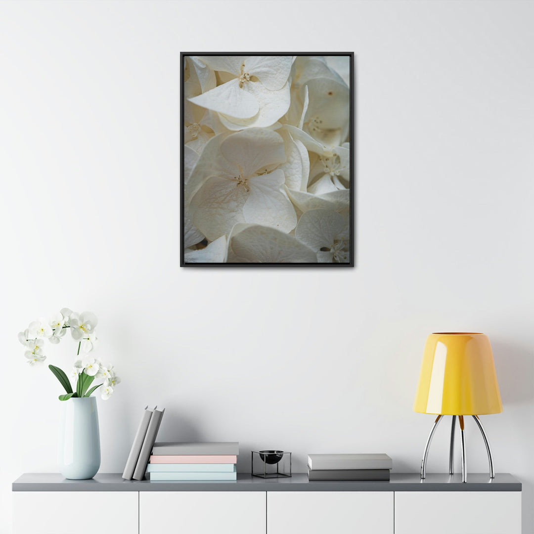 White Hydrangea Detail - Canvas with Frame - Visiting This World