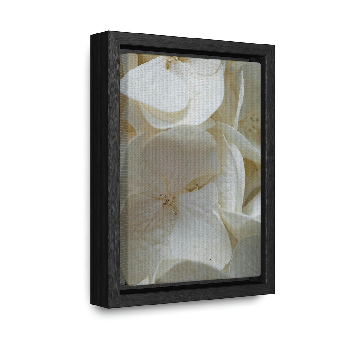 White Hydrangea Detail - Canvas with Frame - Visiting This World