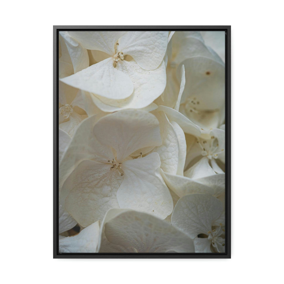 White Hydrangea Detail - Canvas with Frame - Visiting This World