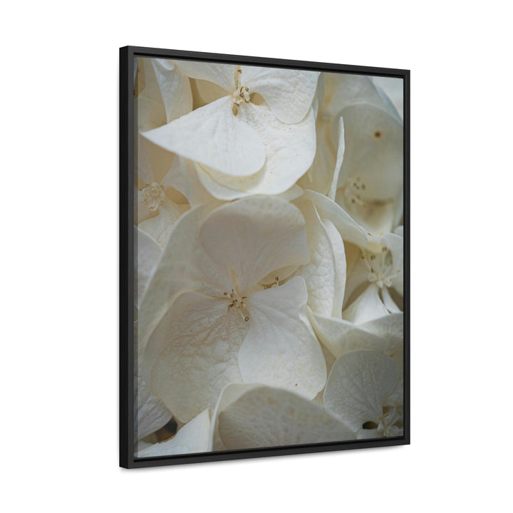 White Hydrangea Detail - Canvas with Frame - Visiting This World