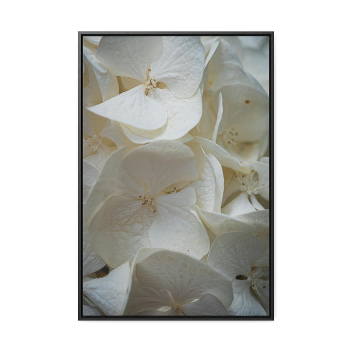 White Hydrangea Detail - Canvas with Frame - Visiting This World