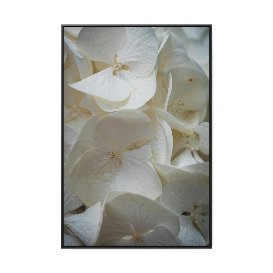 White Hydrangea Detail - Canvas with Frame - Visiting This World