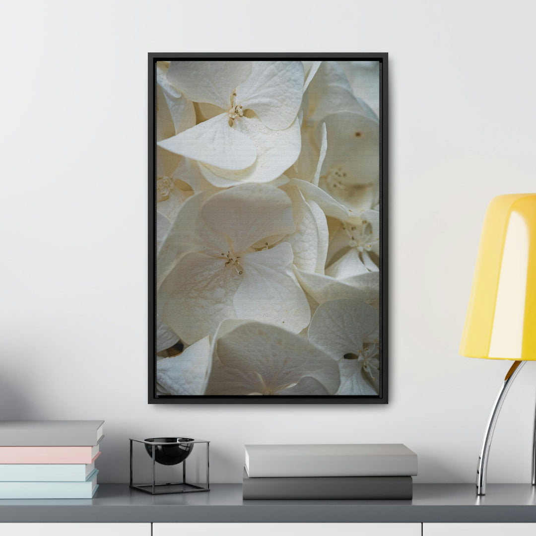 White Hydrangea Detail - Canvas with Frame - Visiting This World