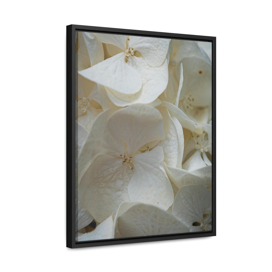 White Hydrangea Detail - Canvas with Frame - Visiting This World