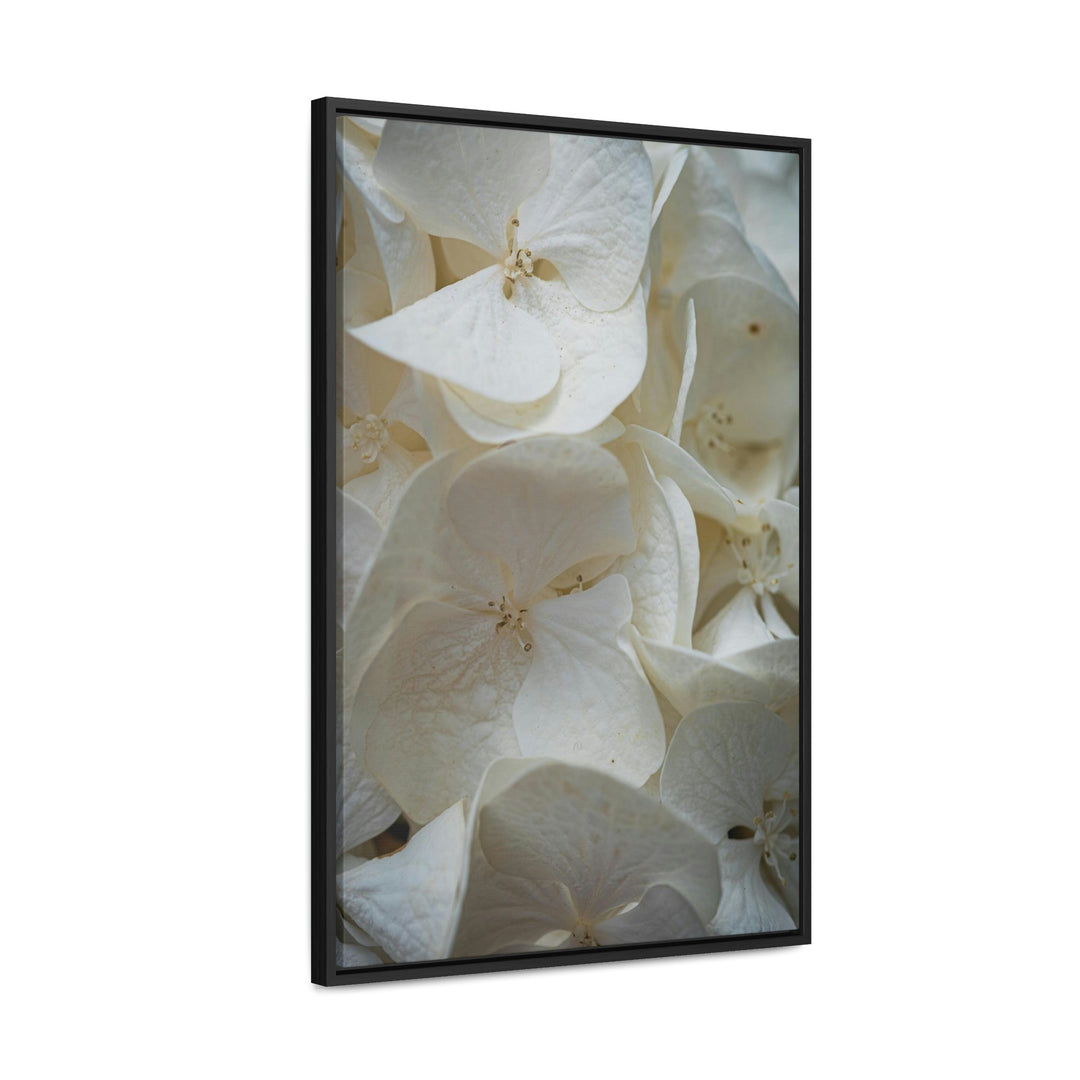 White Hydrangea Detail - Canvas with Frame - Visiting This World