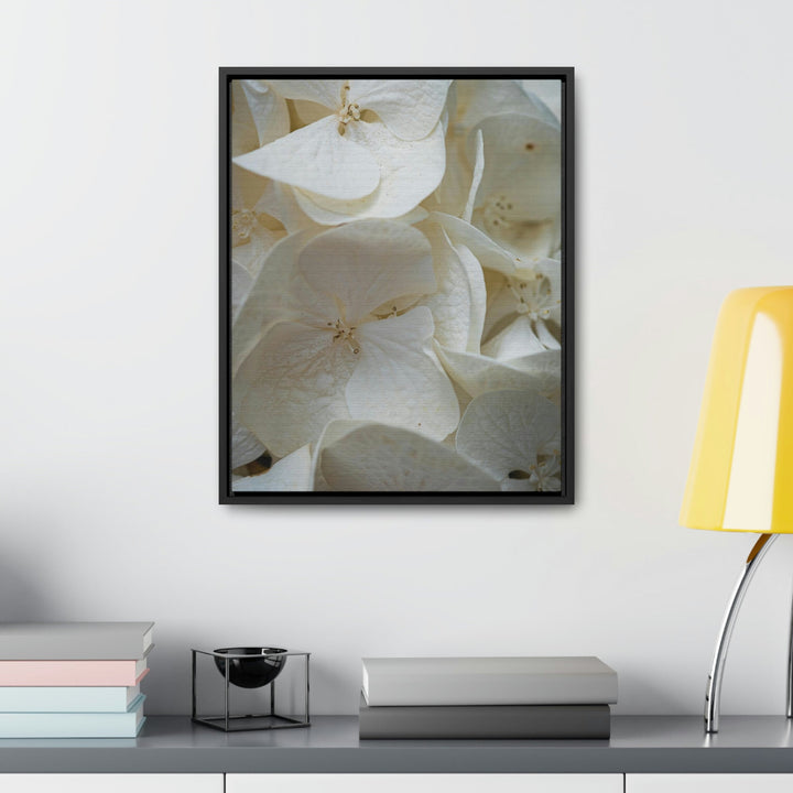 White Hydrangea Detail - Canvas with Frame - Visiting This World