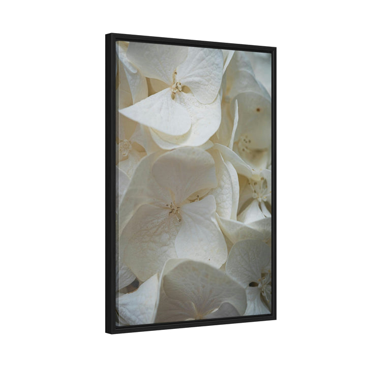 White Hydrangea Detail - Canvas with Frame - Visiting This World