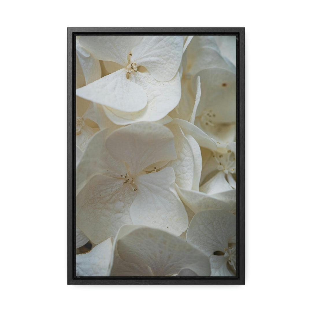 White Hydrangea Detail - Canvas with Frame - Visiting This World