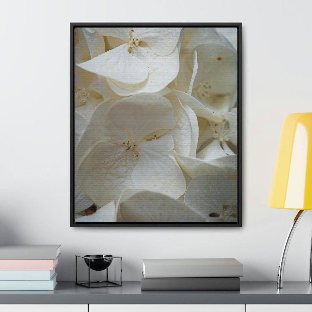 White Hydrangea Detail - Canvas with Frame - Visiting This World