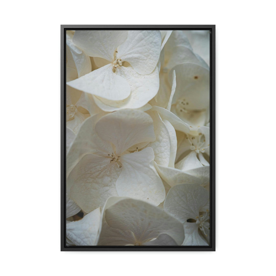 White Hydrangea Detail - Canvas with Frame - Visiting This World