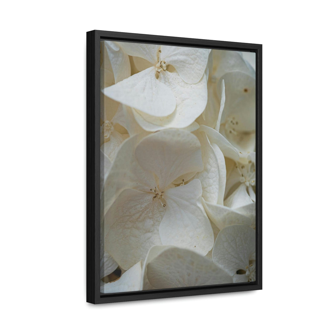 White Hydrangea Detail - Canvas with Frame - Visiting This World