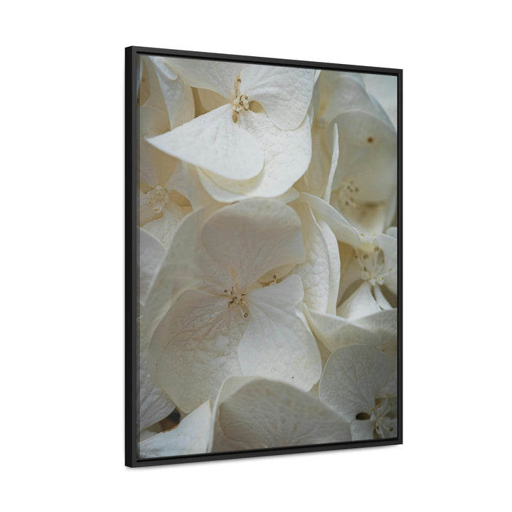 White Hydrangea Detail - Canvas with Frame - Visiting This World