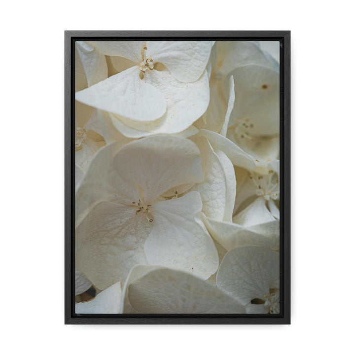 White Hydrangea Detail - Canvas with Frame - Visiting This World