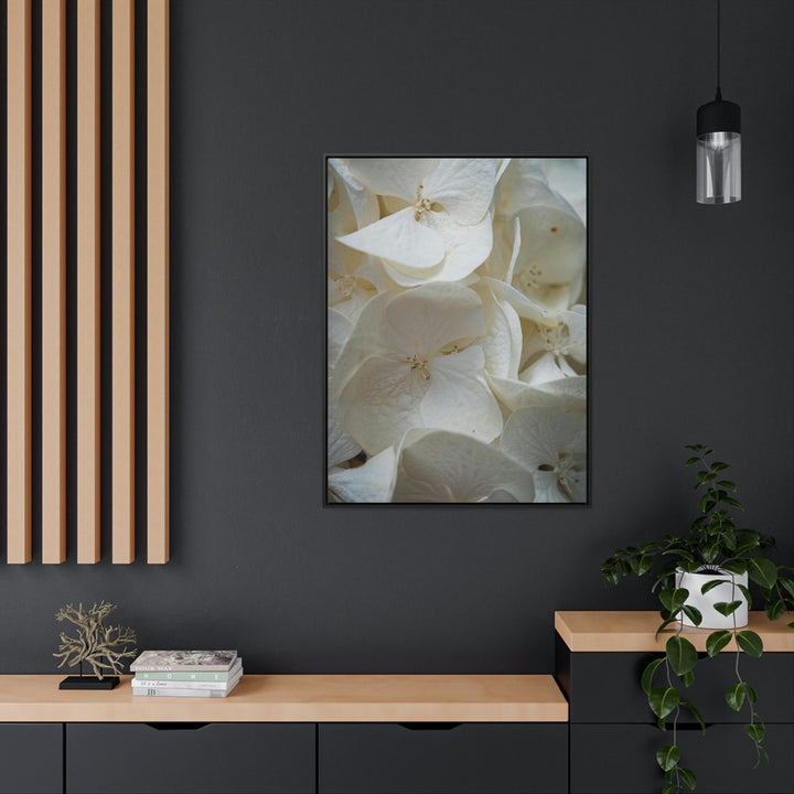 White Hydrangea Detail - Canvas with Frame - Visiting This World