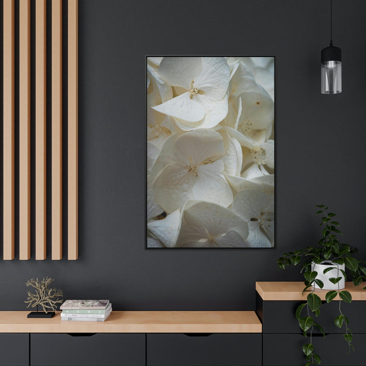 White Hydrangea Detail - Canvas with Frame - Visiting This World