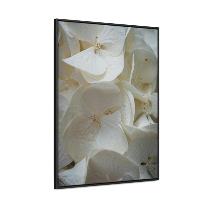 White Hydrangea Detail - Canvas with Frame - Visiting This World