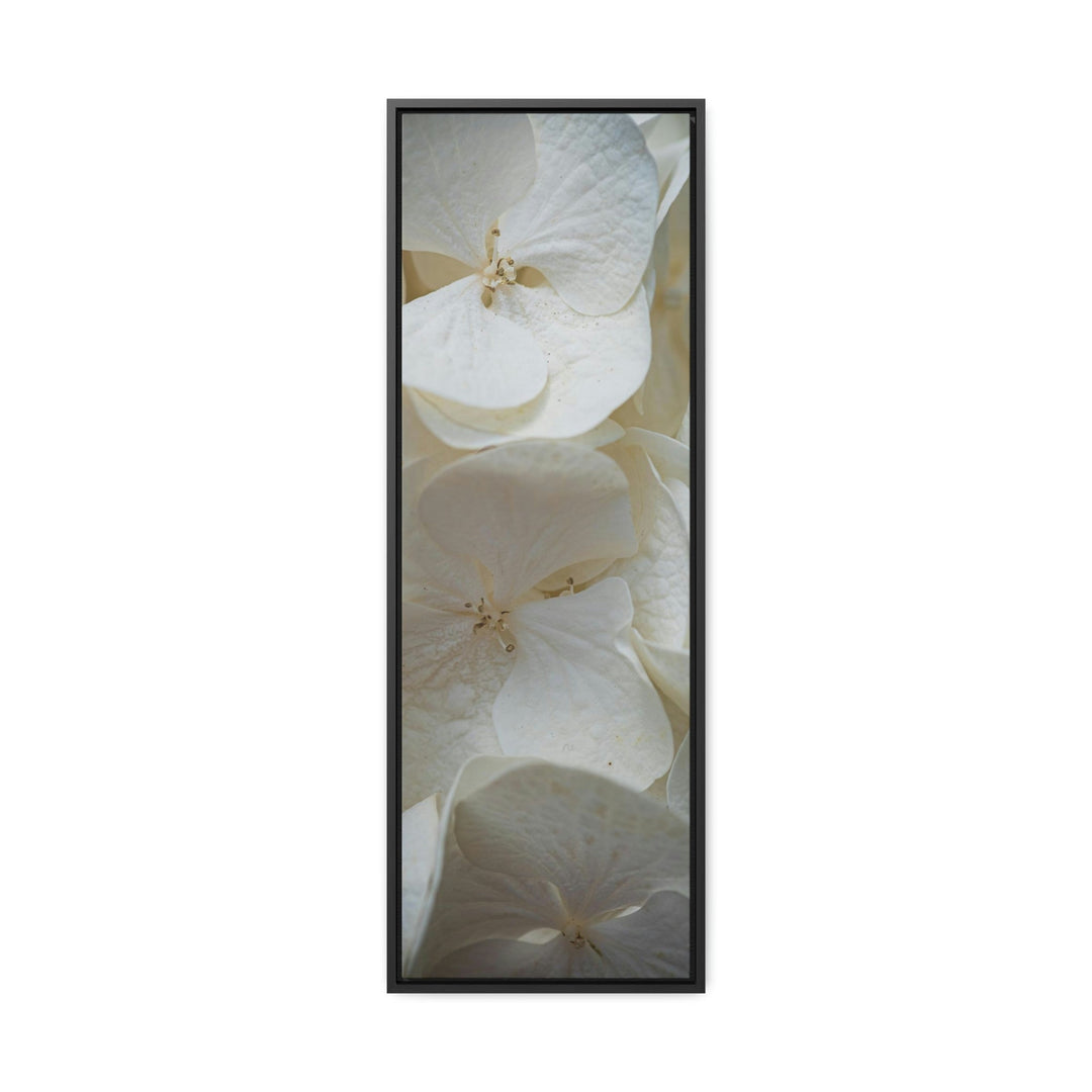 White Hydrangea Detail - Canvas with Frame - Visiting This World