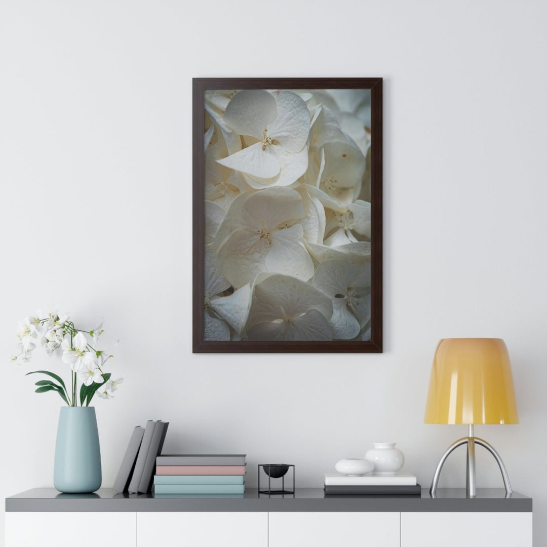 White Hydrangea Detail - Framed Print - Visiting This World