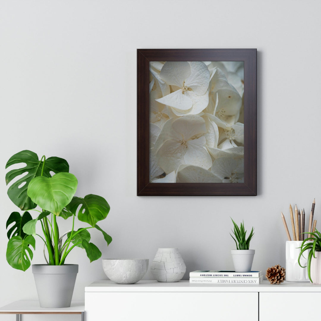 White Hydrangea Detail - Framed Print - Visiting This World