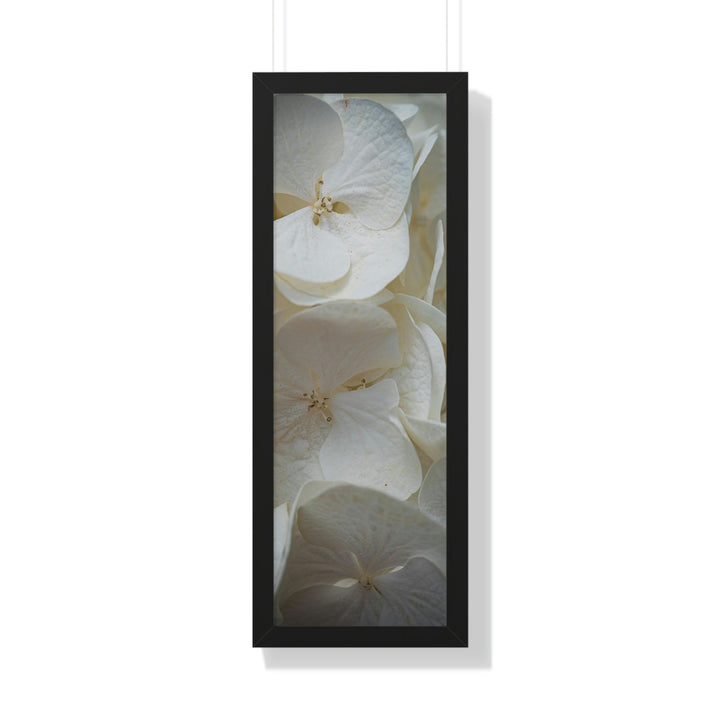 White Hydrangea Detail - Framed Print - Visiting This World