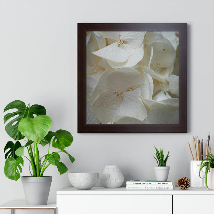 White Hydrangea Detail - Framed Print - Visiting This World