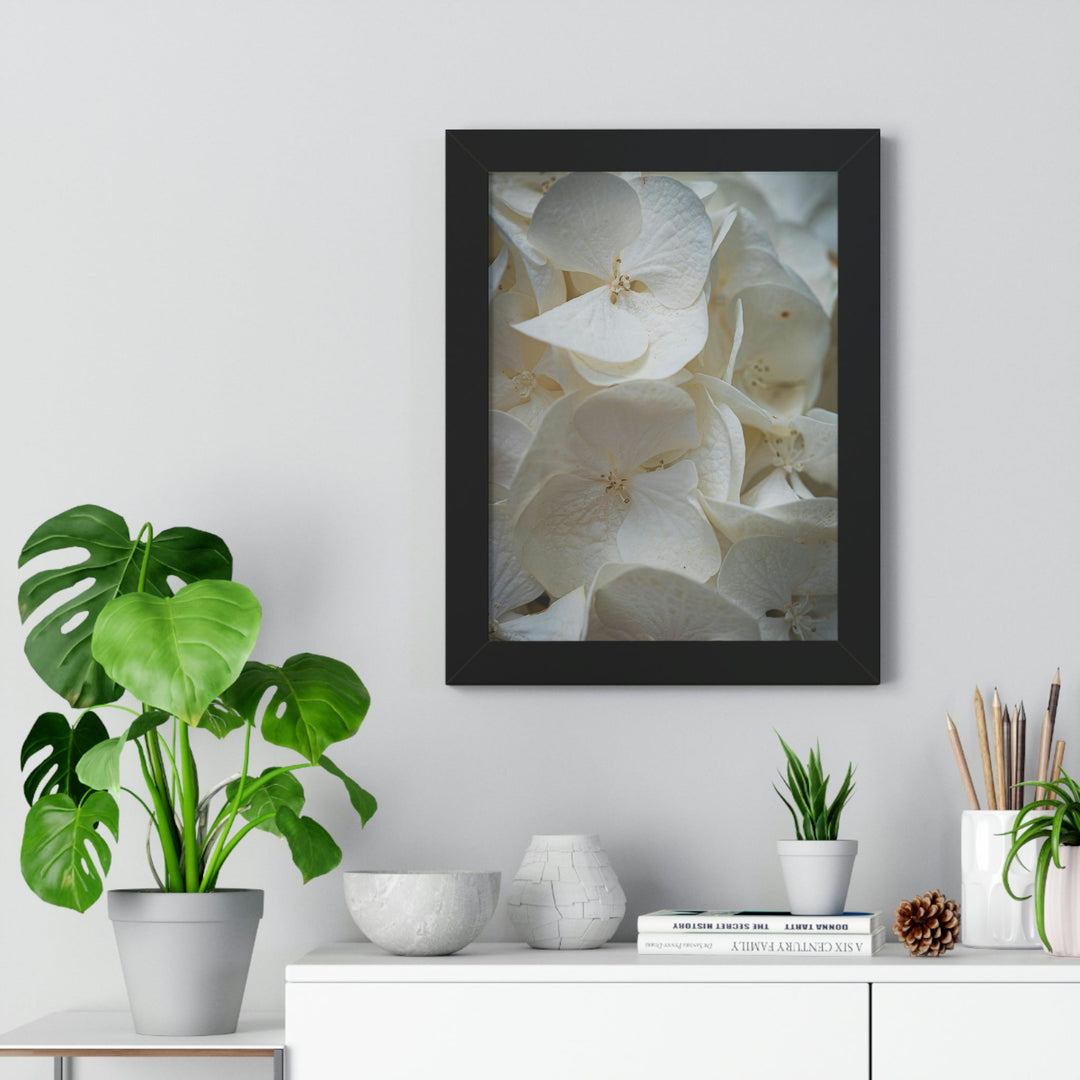 White Hydrangea Detail - Framed Print - Visiting This World