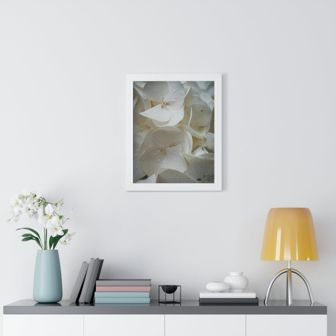 White Hydrangea Detail - Framed Print - Visiting This World