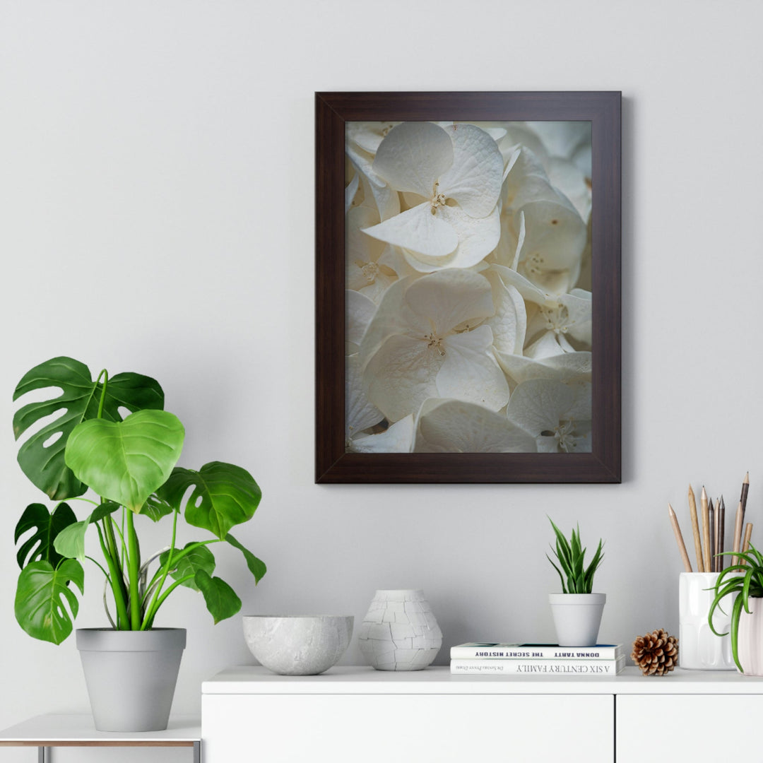 White Hydrangea Detail - Framed Print - Visiting This World