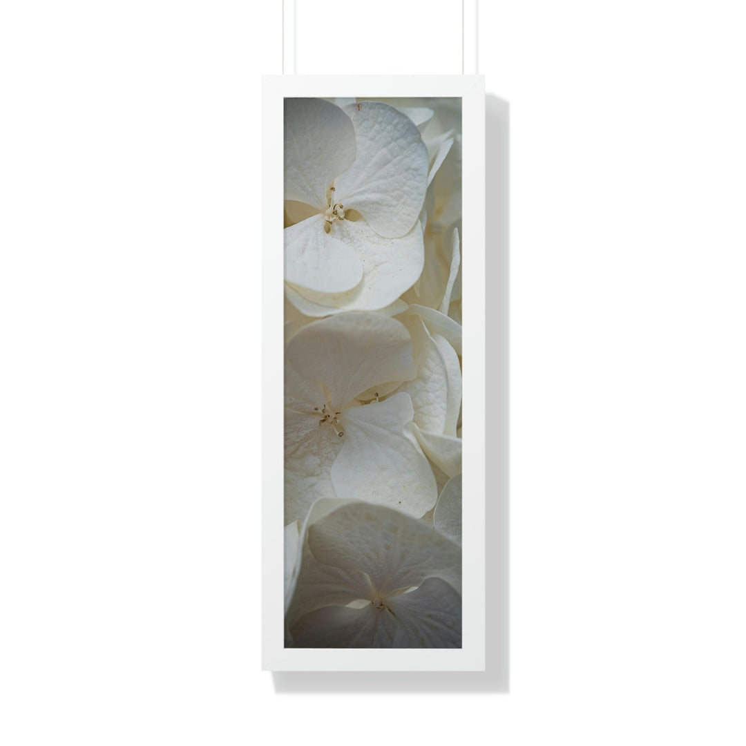 White Hydrangea Detail - Framed Print - Visiting This World