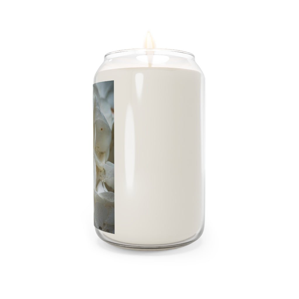 White Hydrangea Detail - Scented Candle, 13.75oz - Visiting This World