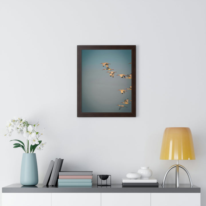 White Ibis in Flight - Framed Print - Visiting This World