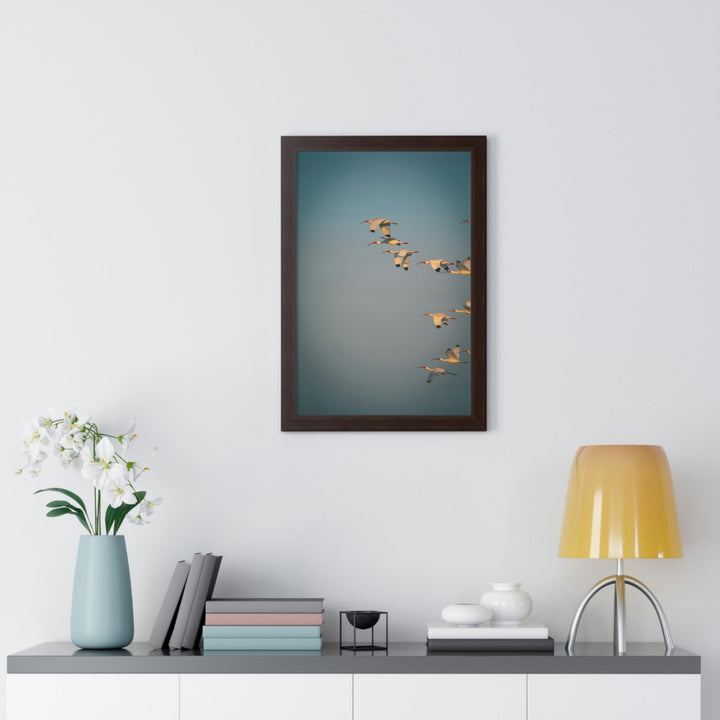 White Ibis in Flight - Framed Print - Visiting This World