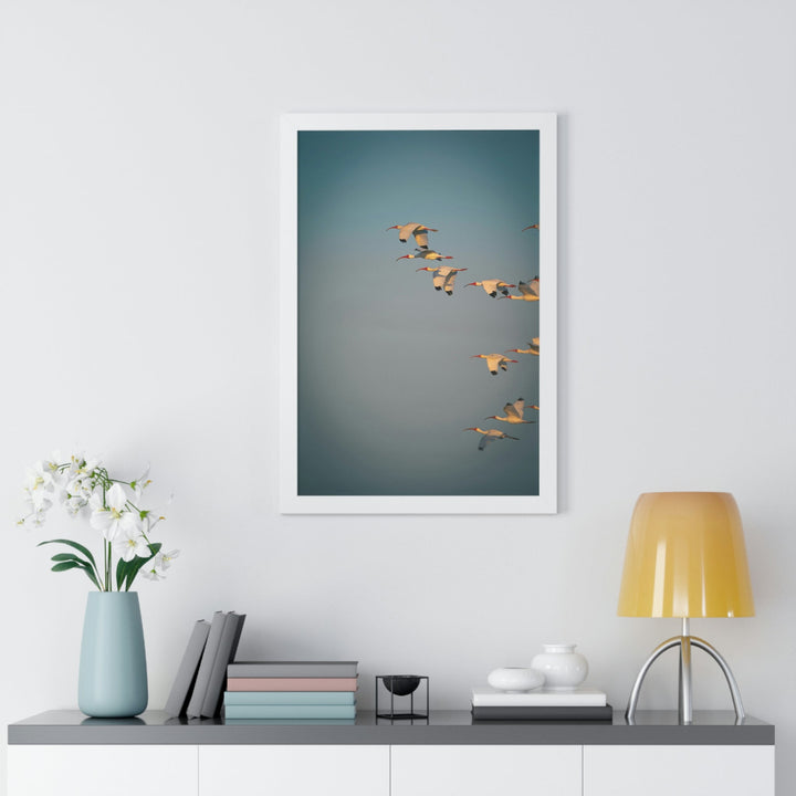 White Ibis in Flight - Framed Print - Visiting This World