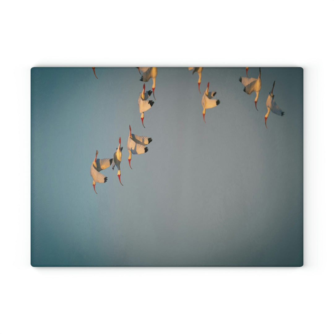 White Ibis in Flight - Glass Cutting Board - Visiting This World