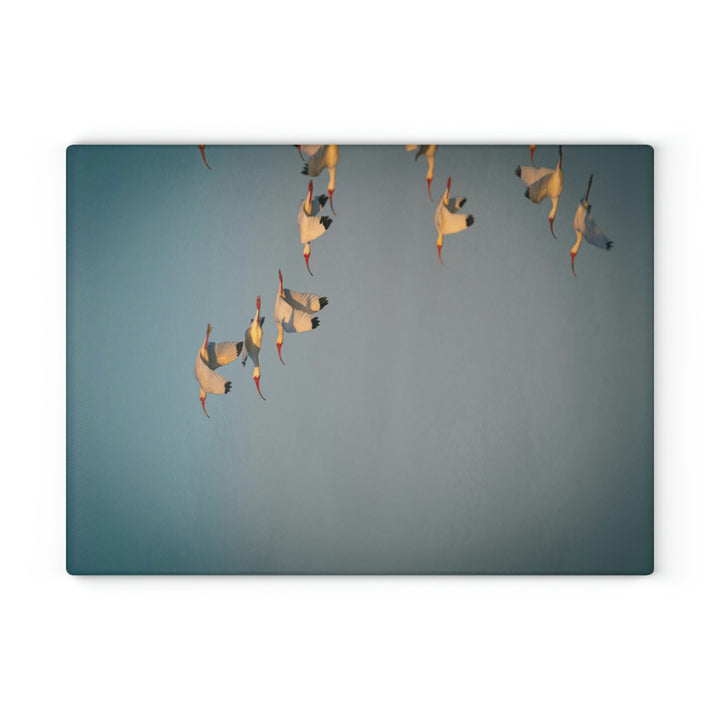 White Ibis in Flight - Glass Cutting Board - Visiting This World