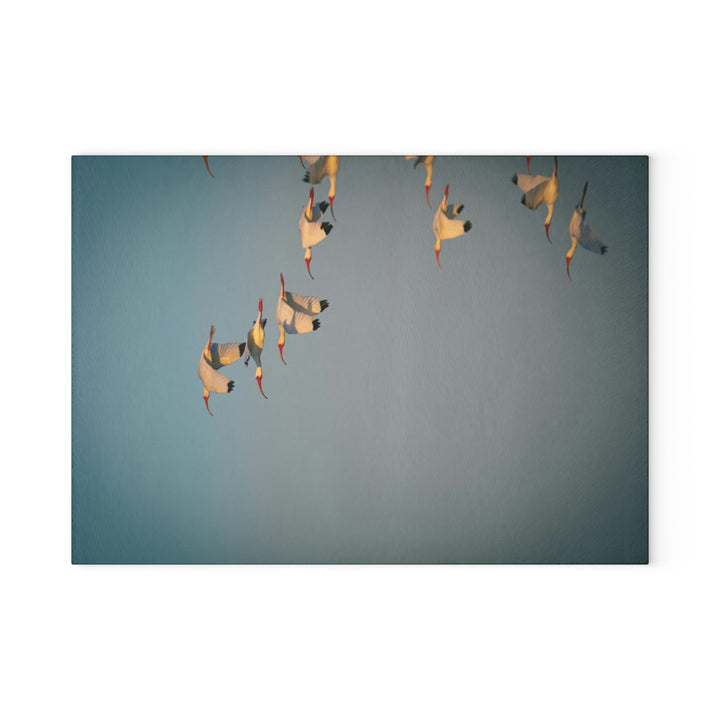 White Ibis in Flight - Glass Cutting Board - Visiting This World