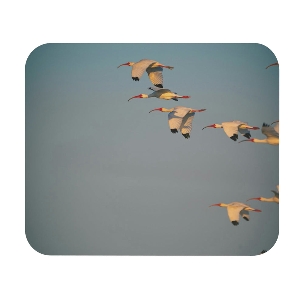 White Ibis in Flight - Mouse Pad (Rectangle) - Visiting This World