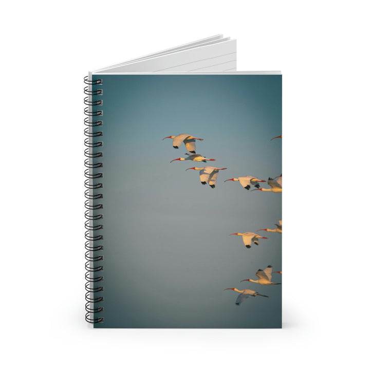 White Ibis in Flight - Spiral Ruled Line Notebook - Visiting This World