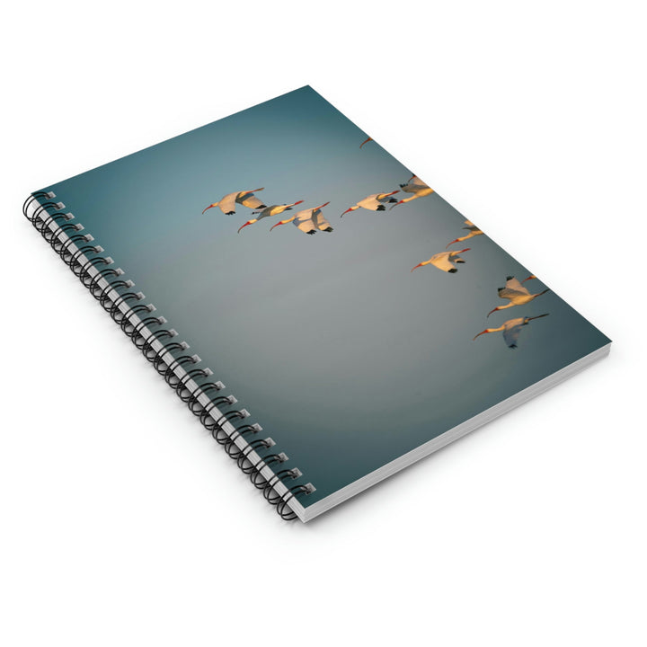 White Ibis in Flight - Spiral Ruled Line Notebook - Visiting This World