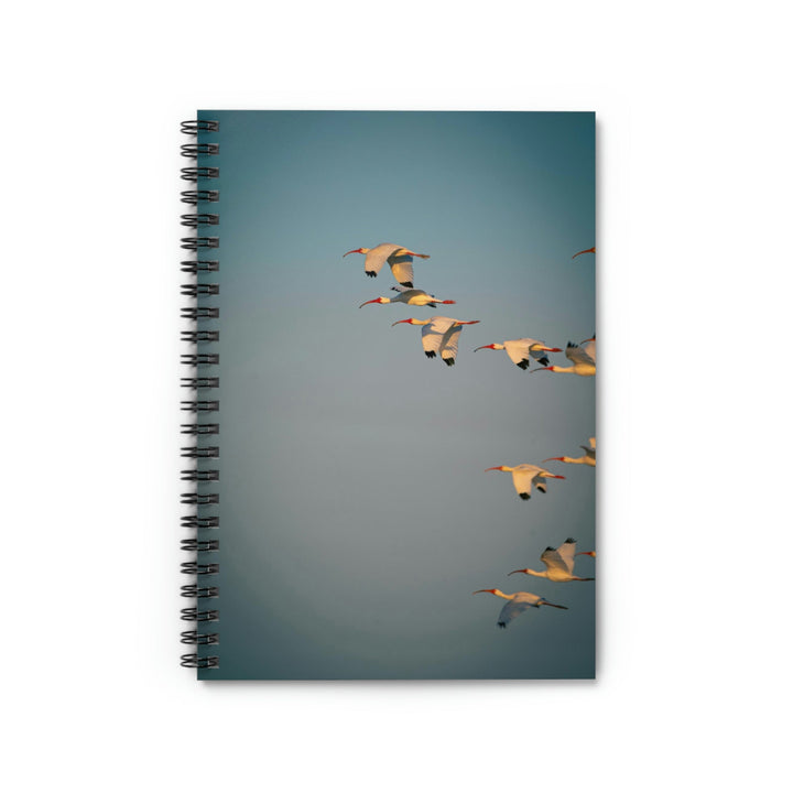 White Ibis in Flight - Spiral Ruled Line Notebook - Visiting This World