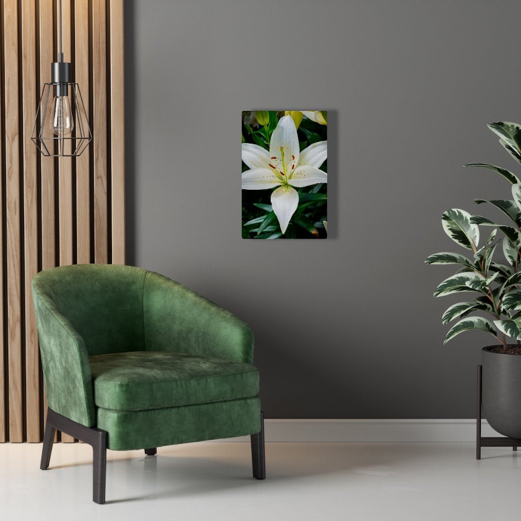 White Lily - Canvas - Visiting This World