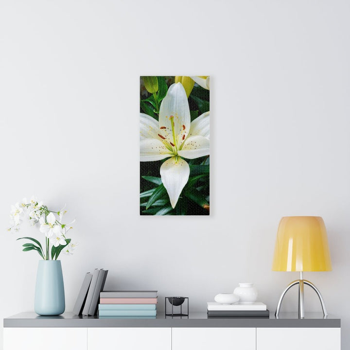 White Lily - Canvas - Visiting This World