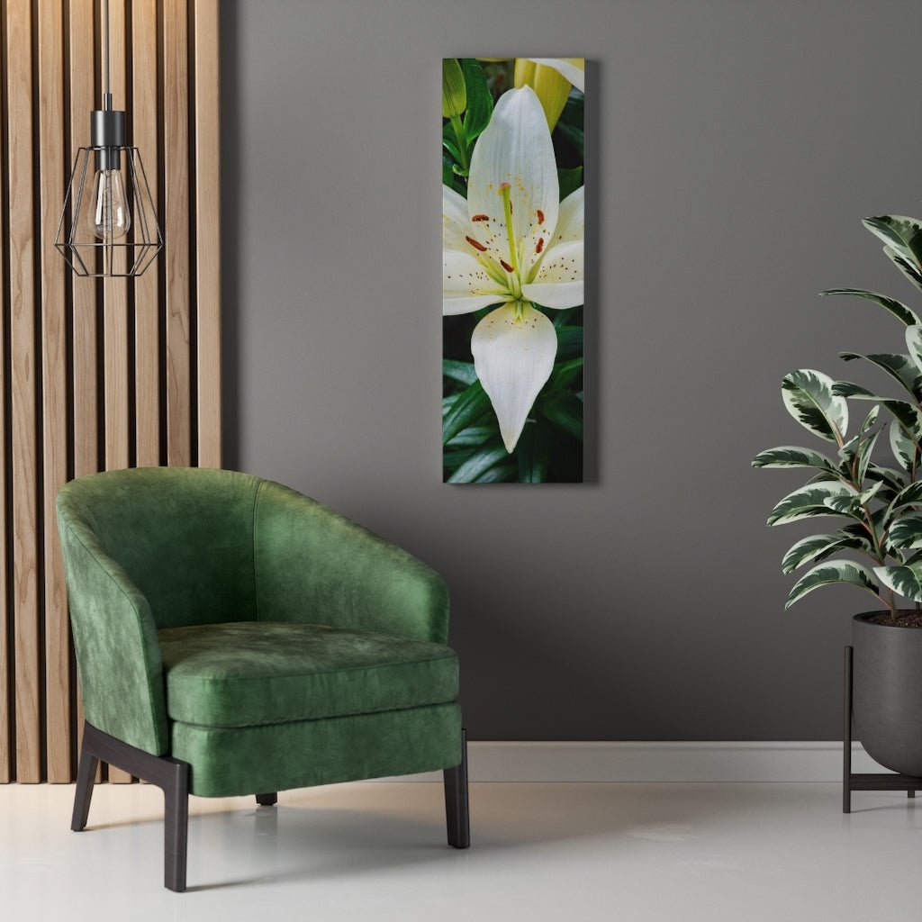 White Lily - Canvas - Visiting This World