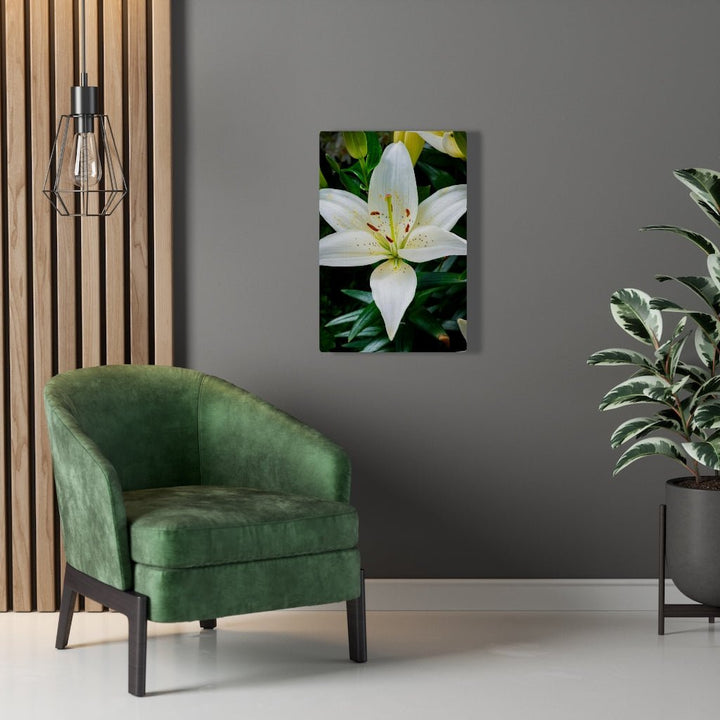 White Lily - Canvas - Visiting This World