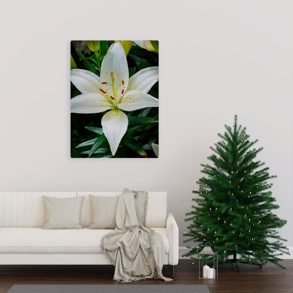 White Lily - Canvas - Visiting This World