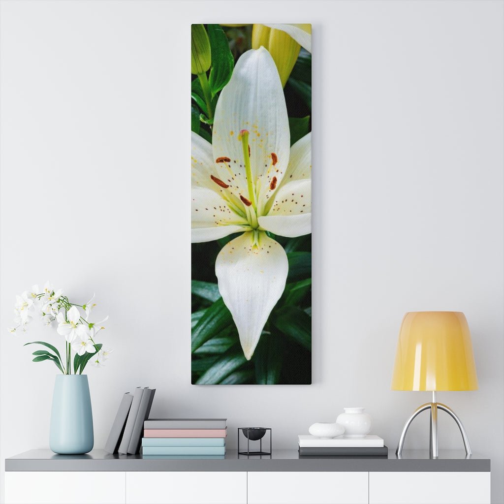 White Lily - Canvas - Visiting This World