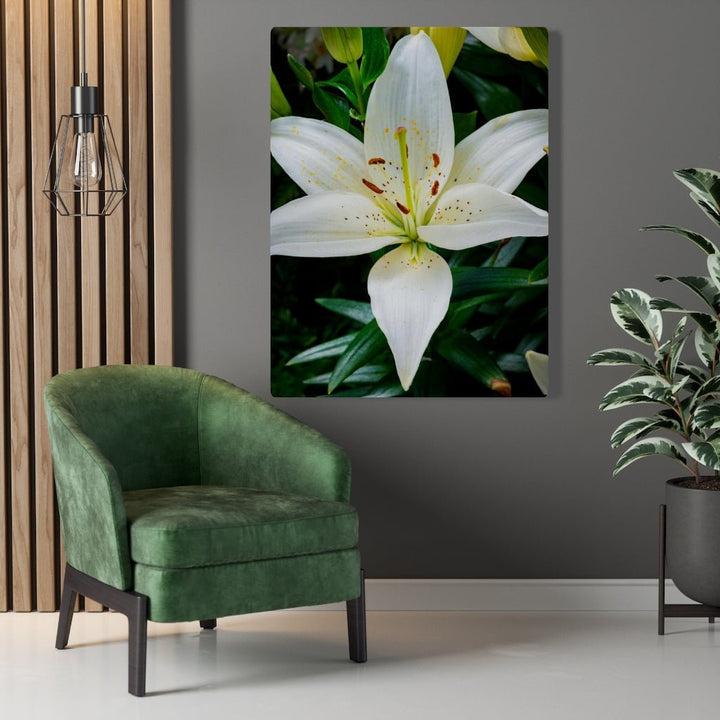 White Lily - Canvas - Visiting This World