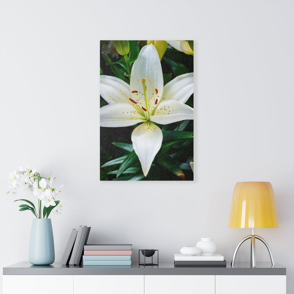 White Lily - Canvas - Visiting This World