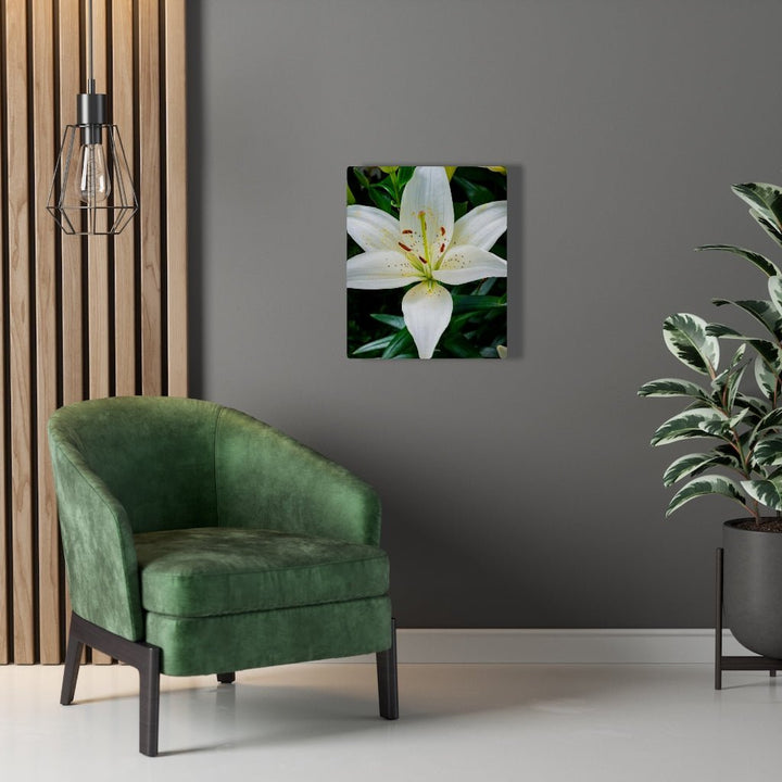 White Lily - Canvas - Visiting This World