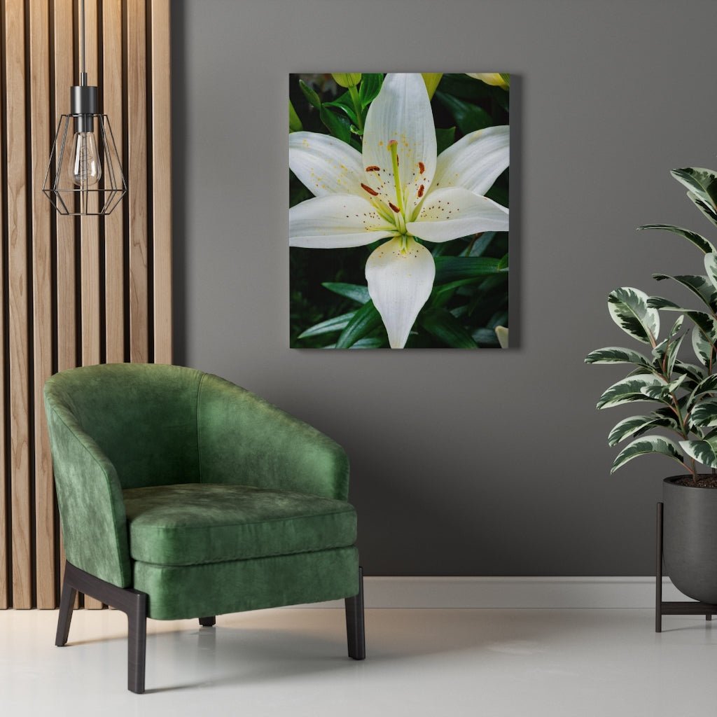 White Lily - Canvas - Visiting This World